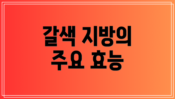 갈색 지방의 주요 효능