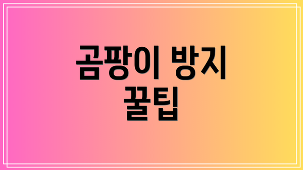 곰팡이 방지 꿀팁