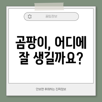 곰팡이, 어디에 잘 생길까요?