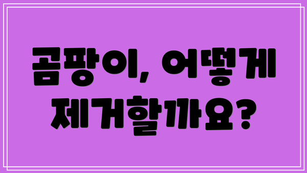 곰팡이, 어떻게 제거할까요?