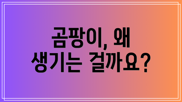 곰팡이, 왜 생기는 걸까요?