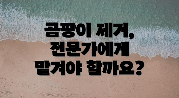 곰팡이 제거, 전문가에게 맡겨야 할까요?
