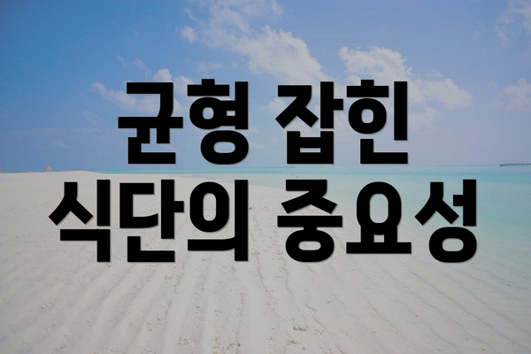 균형 잡힌 식단의 중요성