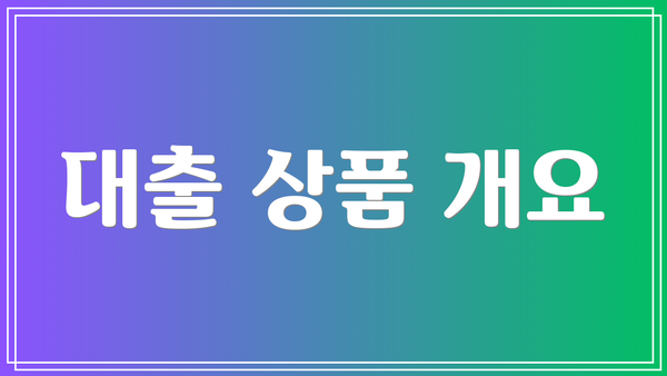 대출 상품 개요