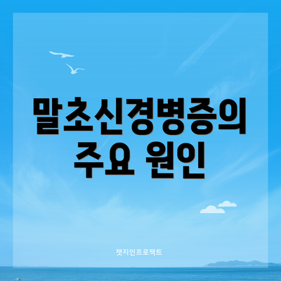 말초신경병증의 주요 원인