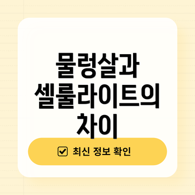 물렁살과 셀룰라이트의 차이