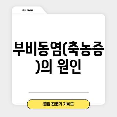 부비동염(축농증)의 원인