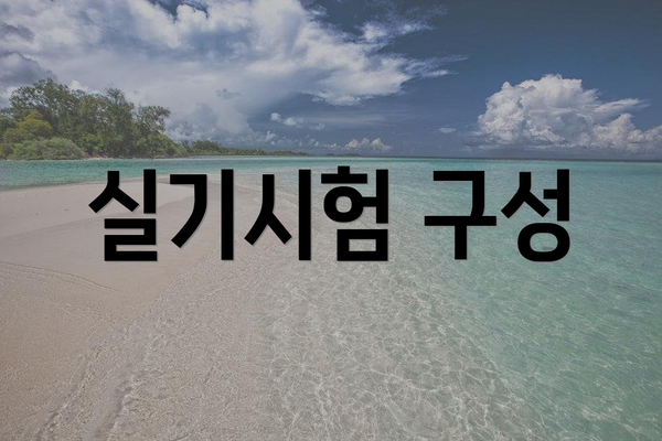 실기시험 구성
