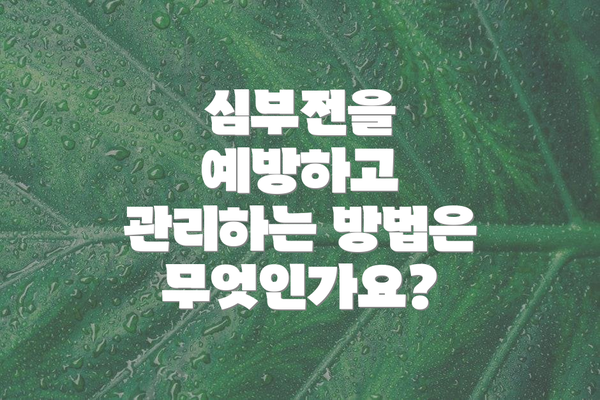 심부전을 예방하고 관리하는 방법은 무엇인가요?