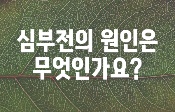 심부전의 원인은 무엇인가요?