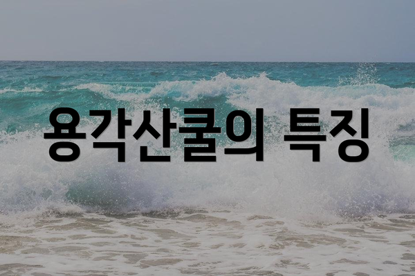 용각산쿨의 특징