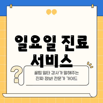 일요일 진료 서비스