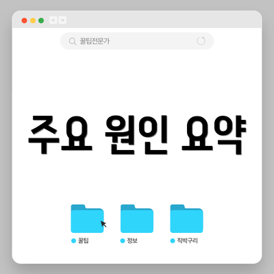 주요 원인 요약