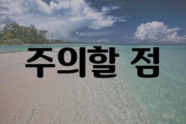 주의할 점