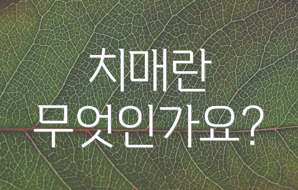 치매란 무엇인가요?