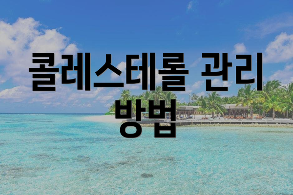 콜레스테롤 관리 방법