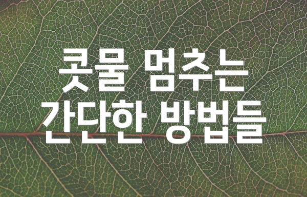 콧물 멈추는 간단한 방법들