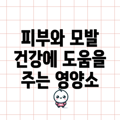 피부와 모발 건강에 도움을 주는 영양소