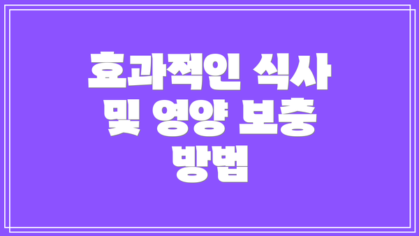 효과적인 식사 및 영양 보충 방법