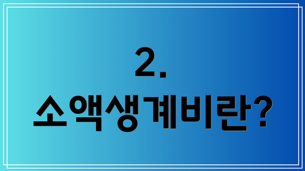 2. 소액생계비란?
