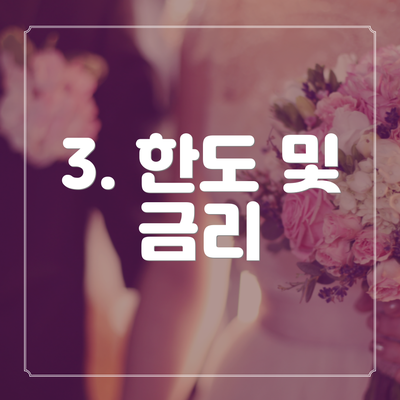 3. 한도 및 금리