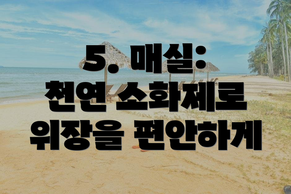 5. 매실: 천연 소화제로 위장을 편안하게