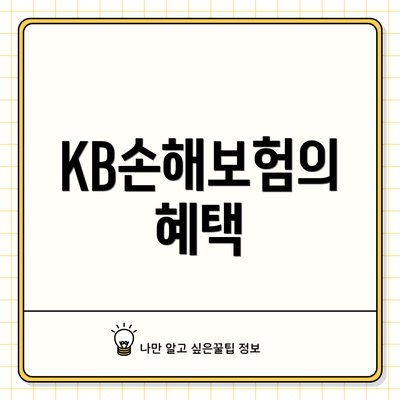 KB손해보험의 혜택