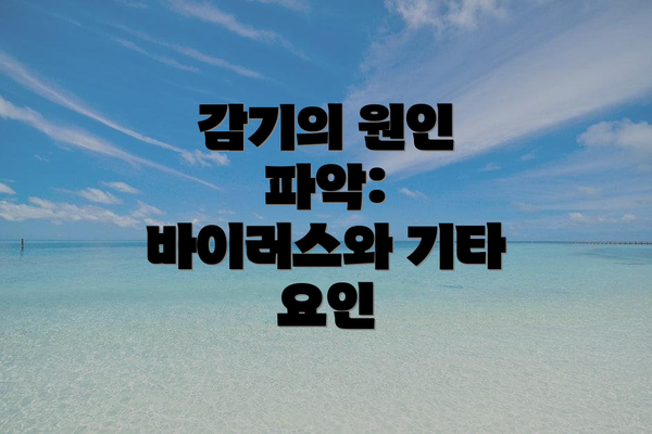 감기의 원인 파악: 바이러스와 기타 요인
