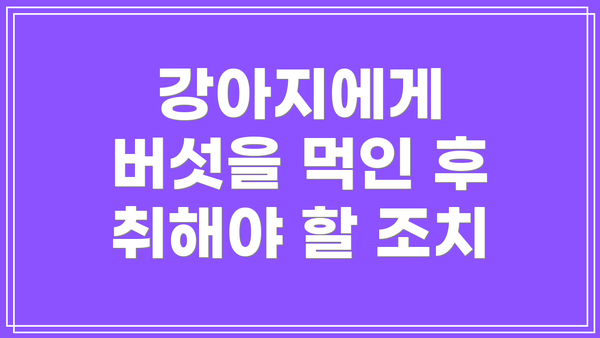 강아지에게 버섯을 먹인 후 취해야 할 조치