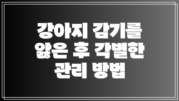 강아지 감기를 앓은 후 각별한 관리 방법