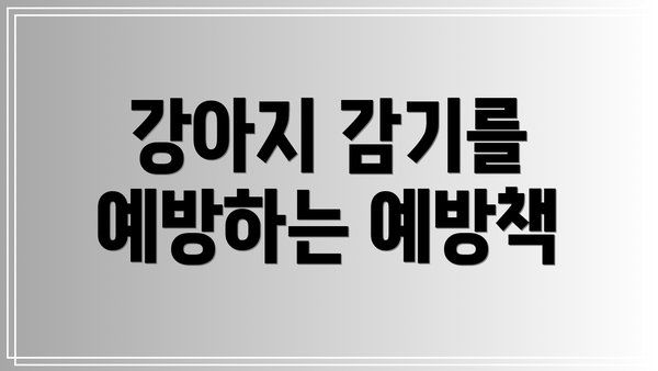 강아지 감기를 예방하는 예방책