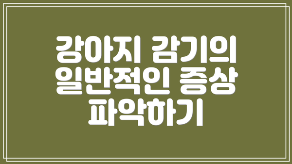 강아지 감기의 일반적인 증상 파악하기