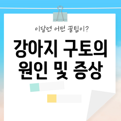 강아지 구토의 원인 및 증상