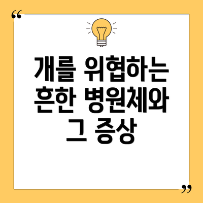 개를 위협하는 흔한 병원체와 그 증상