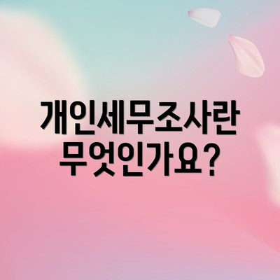 개인세무조사란 무엇인가요?