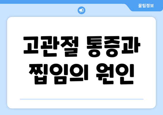 고관절 통증과 찝임의 원인