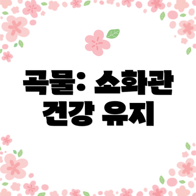 곡물: 소화관 건강 유지