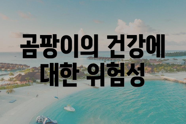 곰팡이의 건강에 대한 위험성