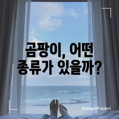곰팡이, 어떤 종류가 있을까?