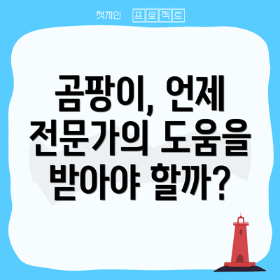곰팡이, 언제 전문가의 도움을 받아야 할까?