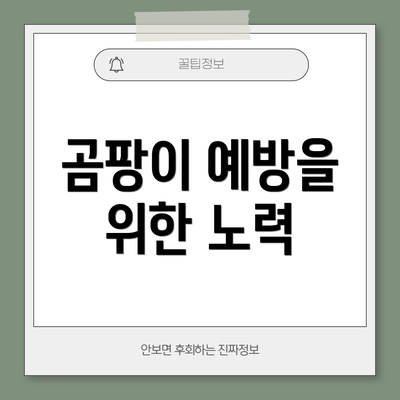 곰팡이 예방을 위한 노력