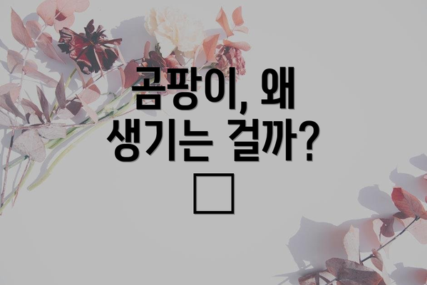 곰팡이, 왜 생기는 걸까? 🤔