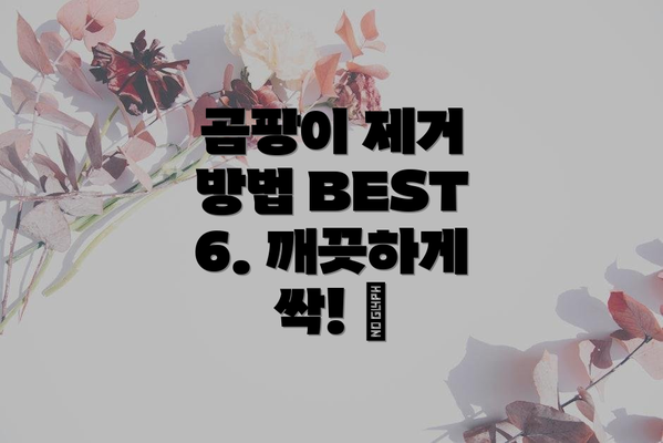 곰팡이 제거 방법 BEST 6. 깨끗하게 싹! 🧹