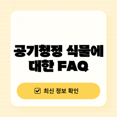 공기청정 식물에 대한 FAQ