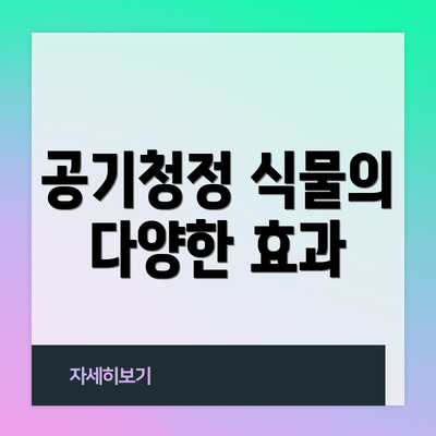 공기청정 식물의 다양한 효과