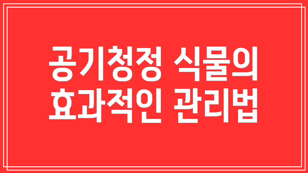 공기청정 식물의 효과적인 관리법