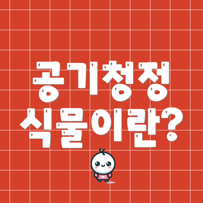 공기청정 식물이란?