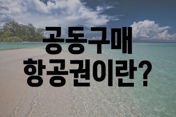 공동구매 항공권이란?