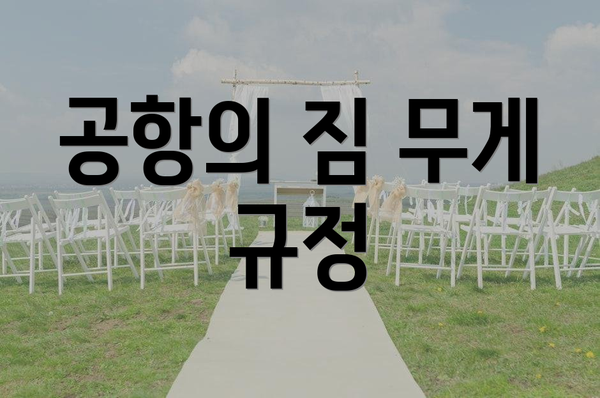 공항의 짐 무게 규정