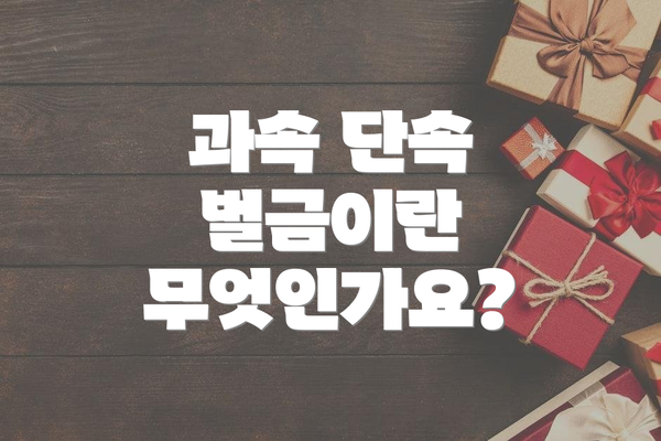 과속 단속 벌금이란 무엇인가요?